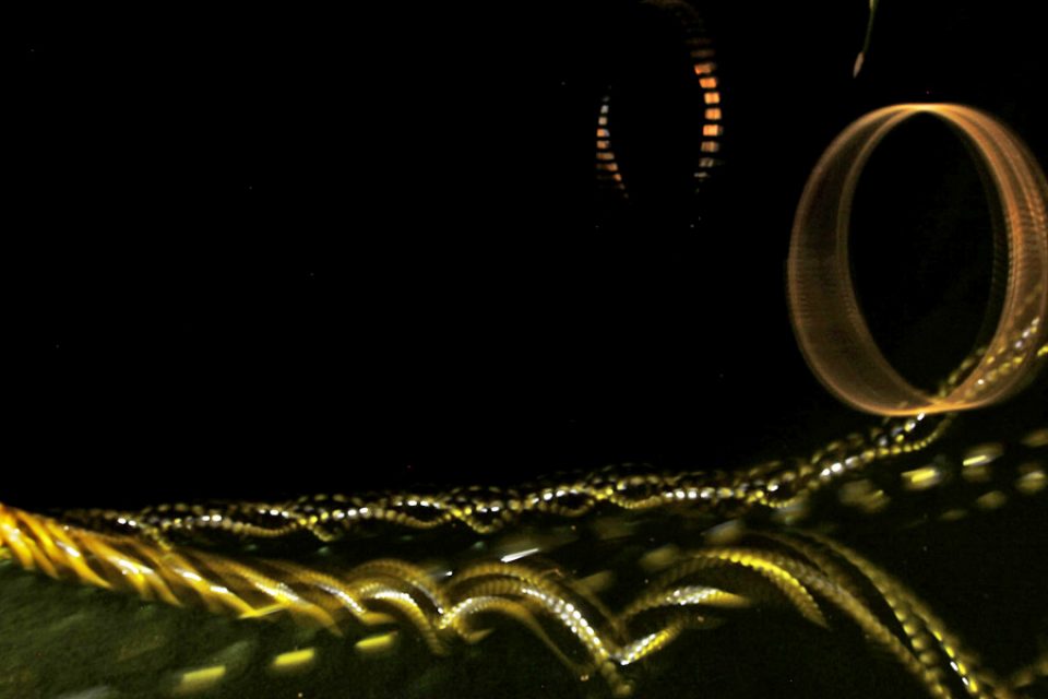 Landing for Photographers