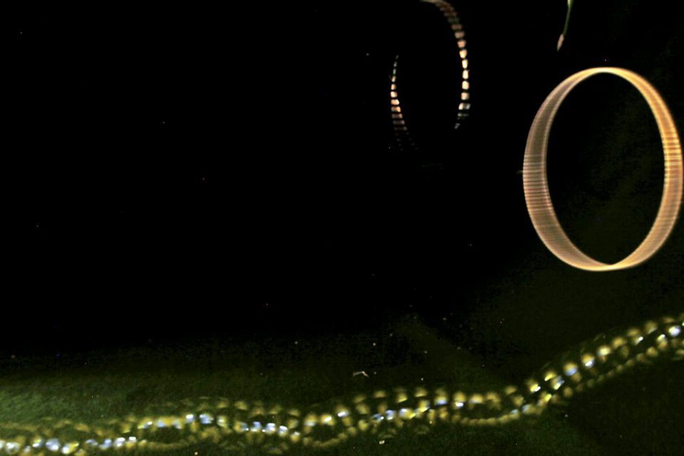 Landing for Photographers