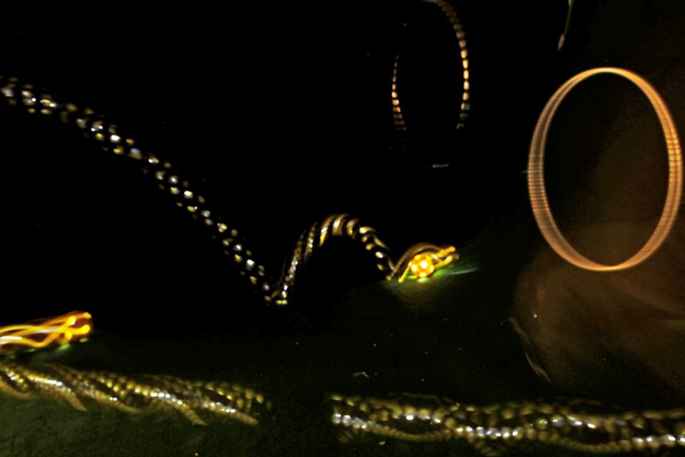 Landing for Photographers