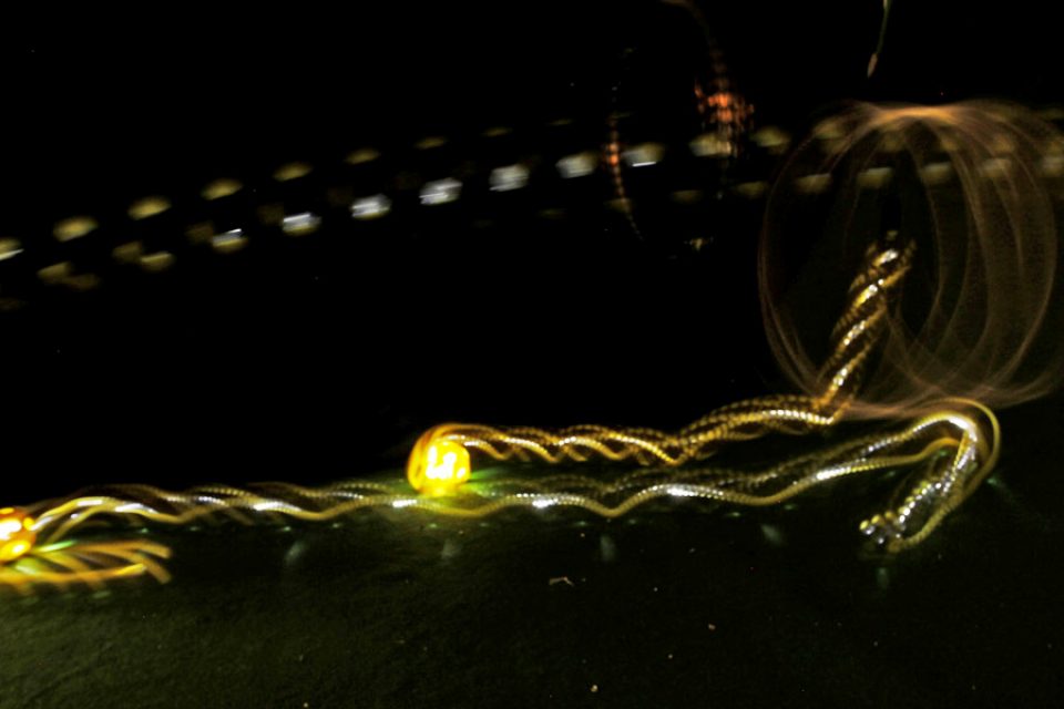 Landing for Photographers